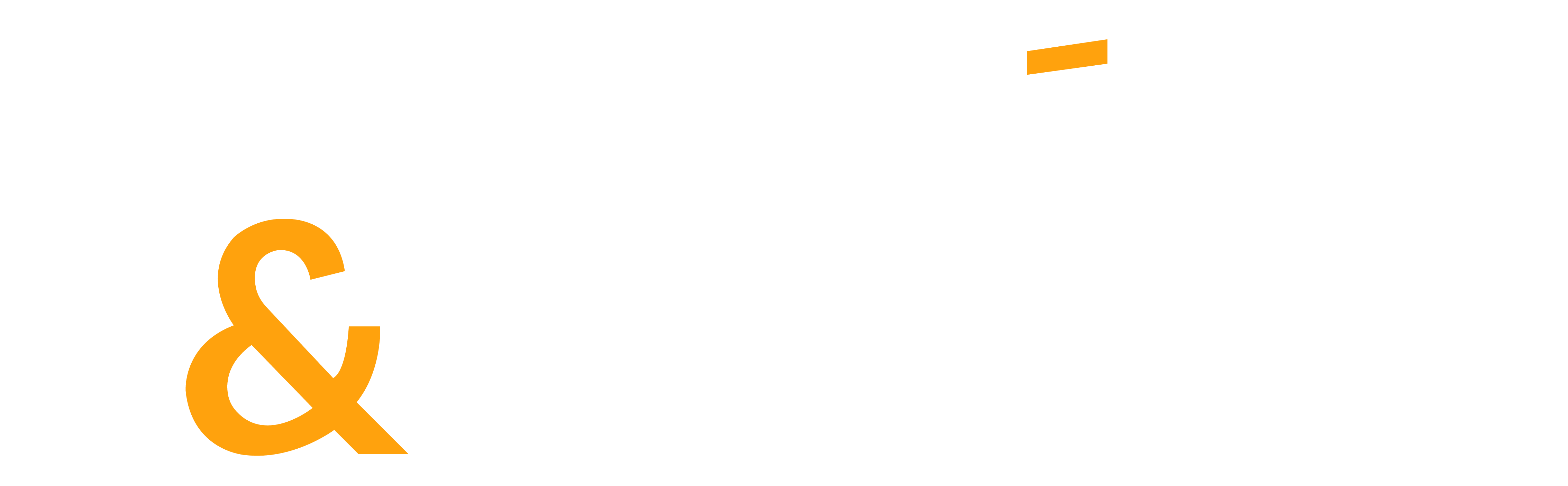 Logo Bruno César & Luciano